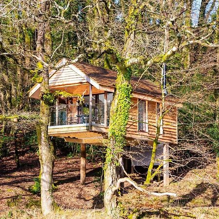 Finest Retreats - The Tree House - Eco-Friendly, Back To Nature Experience Germansweek Eksteriør bilde