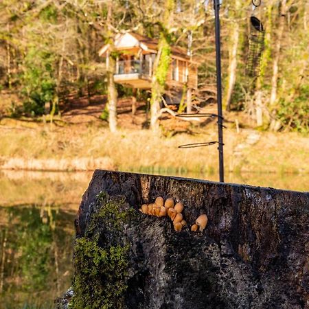 Finest Retreats - The Tree House - Eco-Friendly, Back To Nature Experience Germansweek Eksteriør bilde